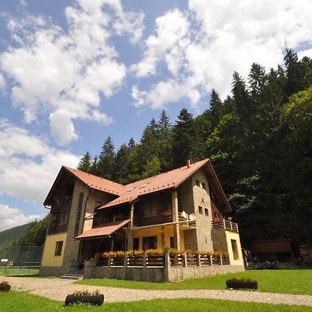 Pensiunea Denisa Lunca Bradului Exterior photo