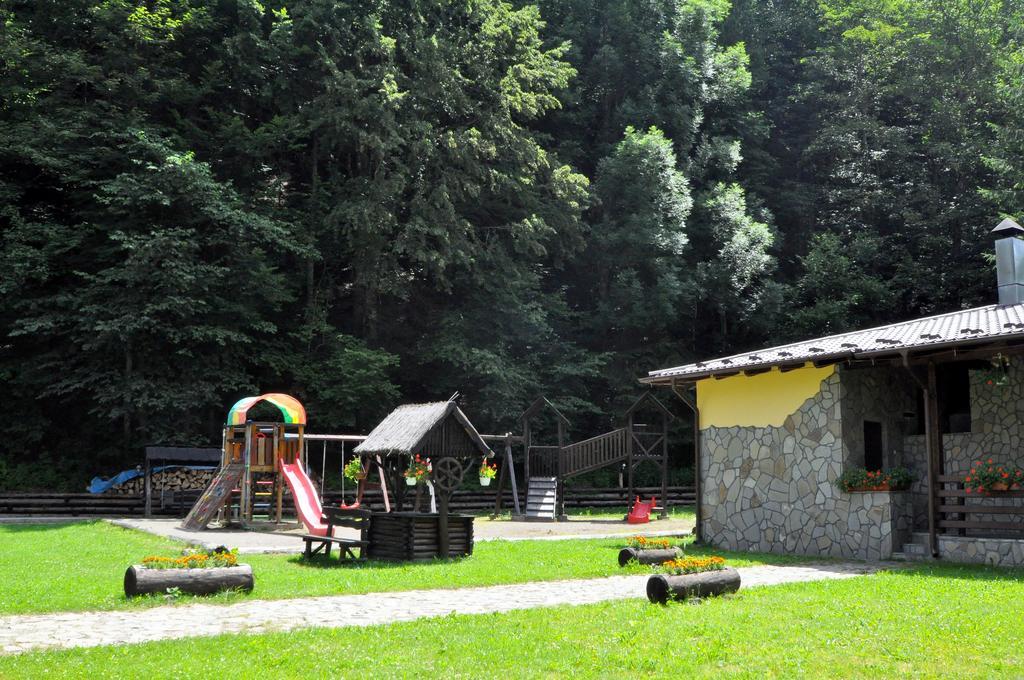 Pensiunea Denisa Lunca Bradului Exterior photo