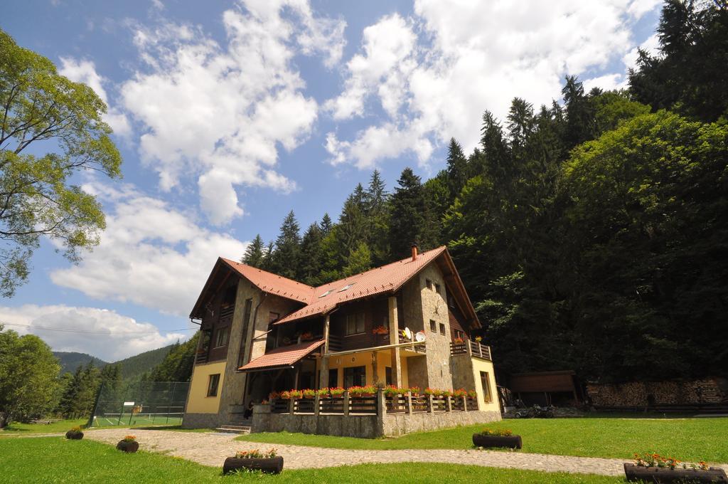 Pensiunea Denisa Lunca Bradului Exterior photo