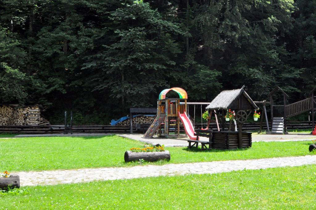 Pensiunea Denisa Lunca Bradului Exterior photo