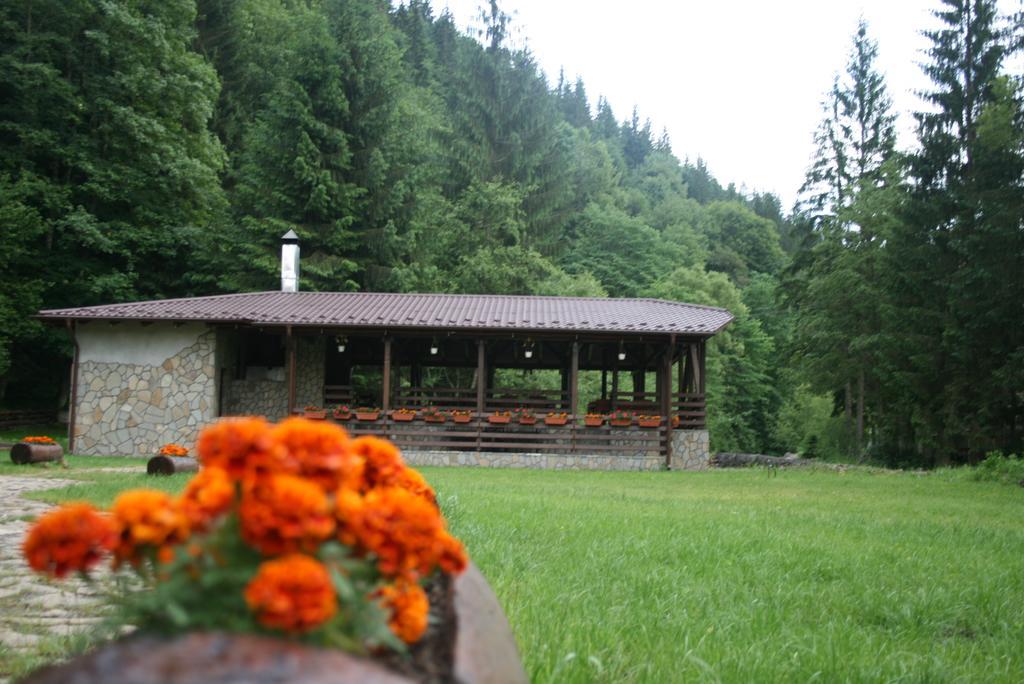 Pensiunea Denisa Lunca Bradului Exterior photo