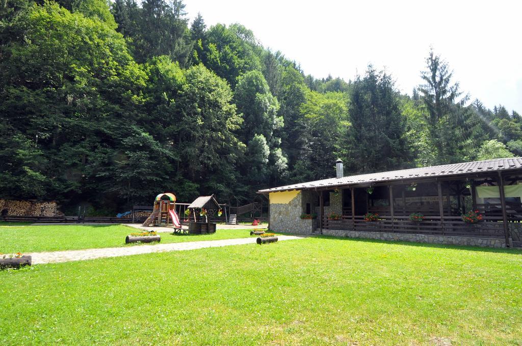 Pensiunea Denisa Lunca Bradului Exterior photo